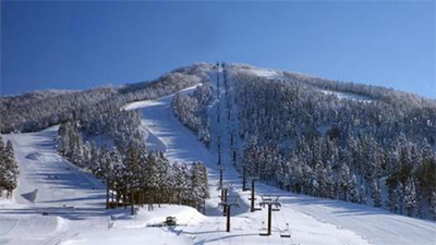 日本,パウダースノー,海外,注目される,理由,画像